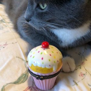 Cupcake PINK hinged trinket box- Cat not included